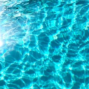 Meet your Posher, Jocelyn